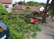 Kwikfynd Tree Cutting Services
malarga