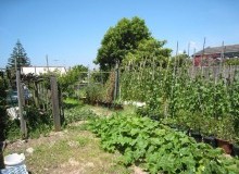 Kwikfynd Vegetable Gardens
malarga